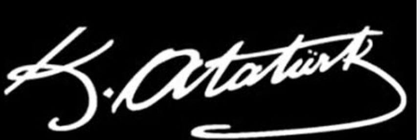 Özlem's banner