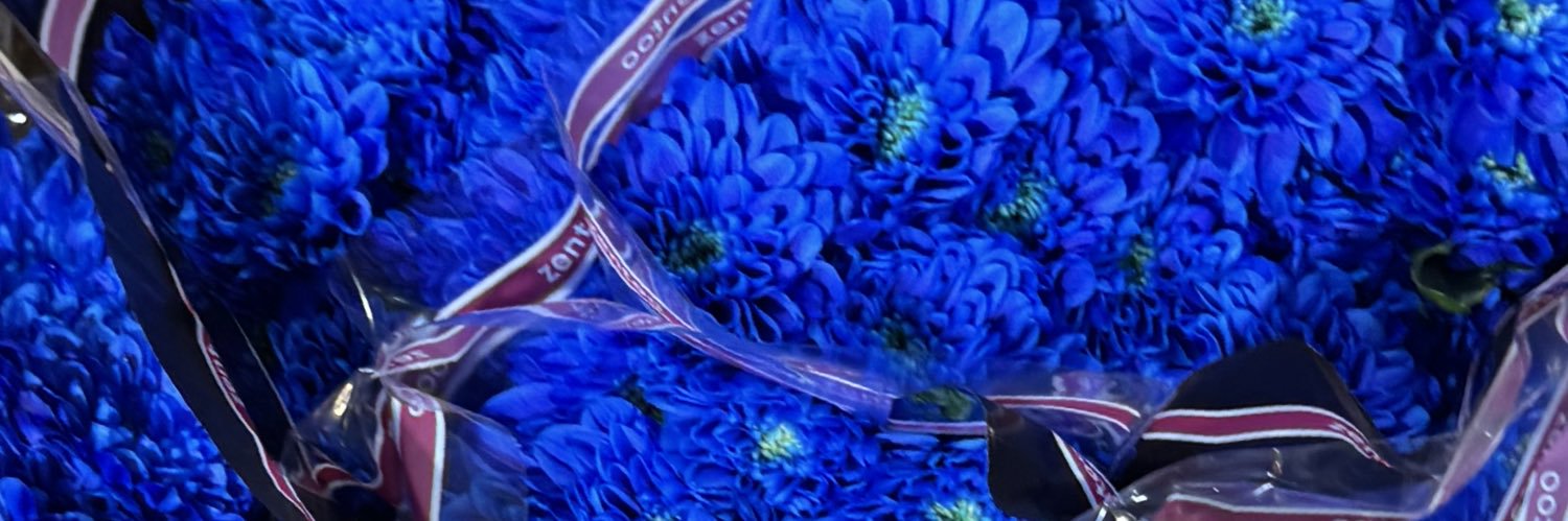 𝕹𝔦𝔪𝔟𝔦𝔣𝔢𝔯's banner