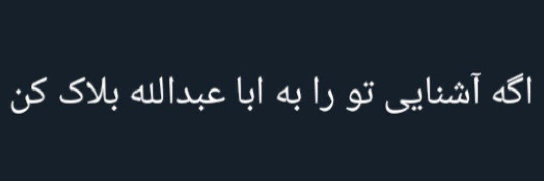 لئون نسبتاً حرفه‌ای's banner