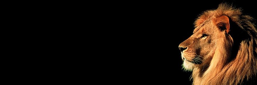 憨厚的麦总's banner