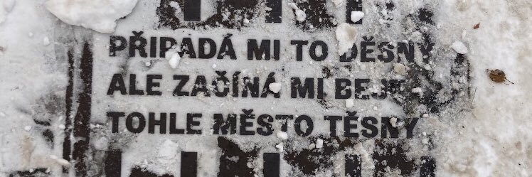 Marek Svehla's banner
