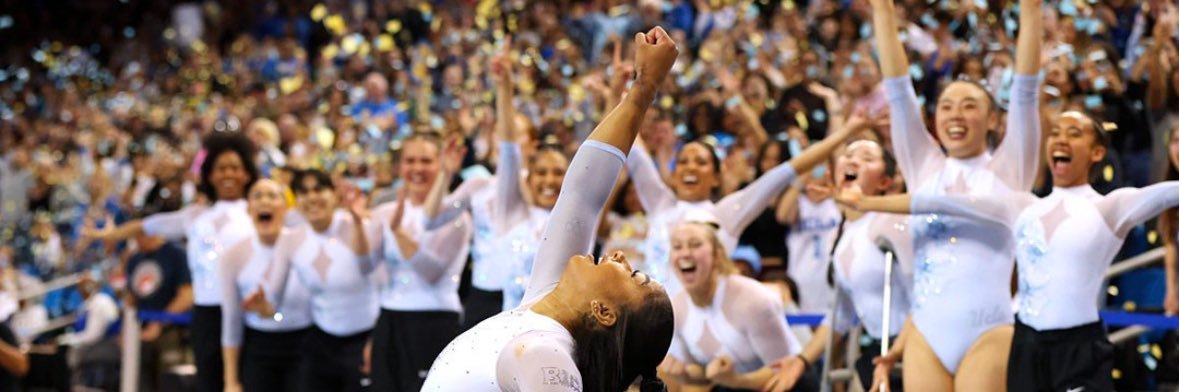 allie's banner
