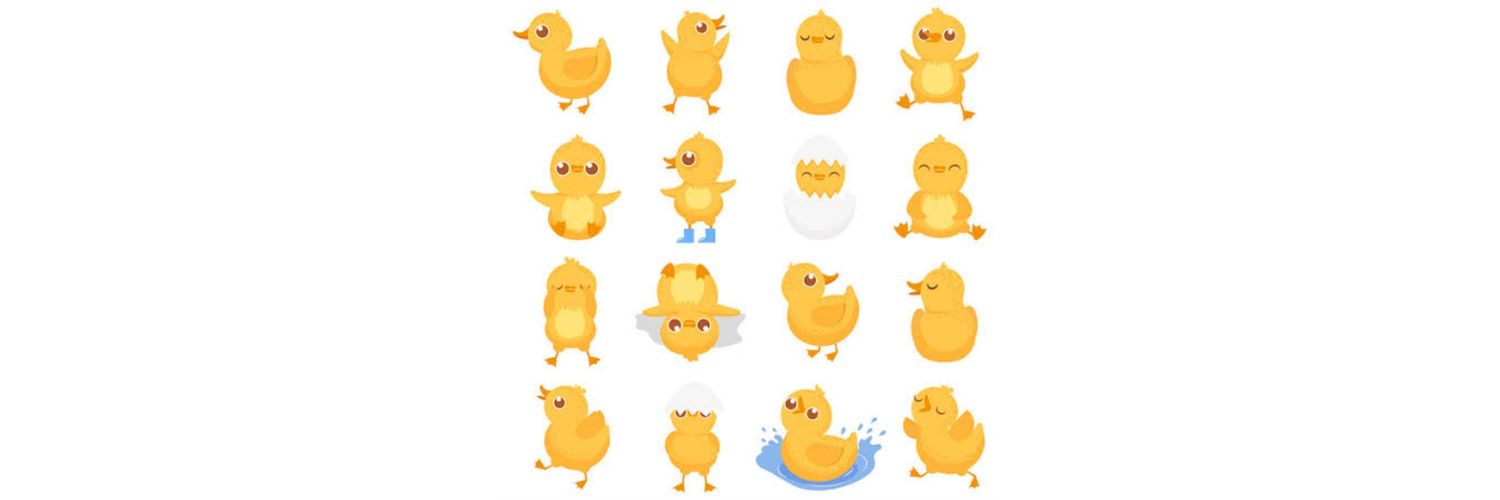 🐥's banner