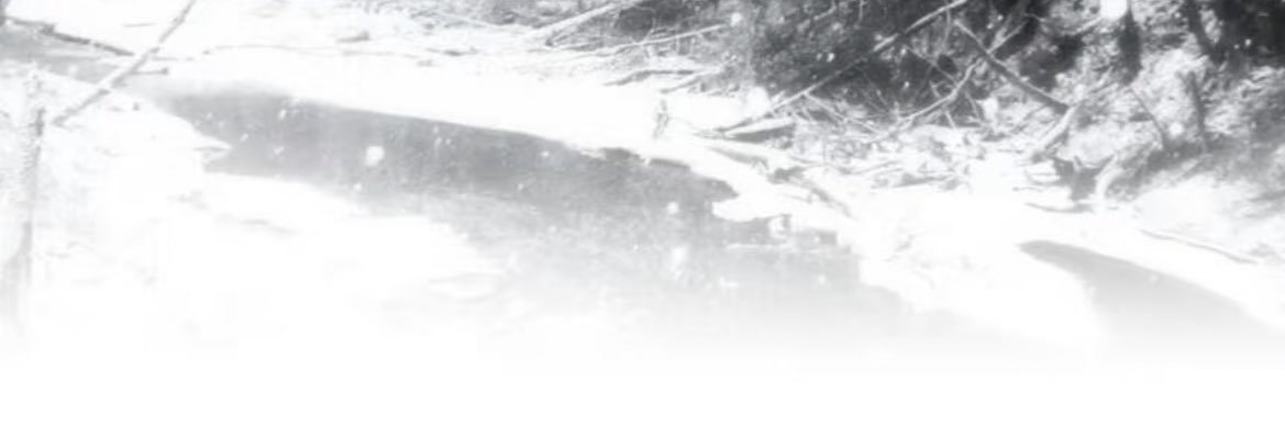 倪倪子's banner