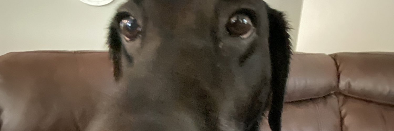 AJ Pedata's banner