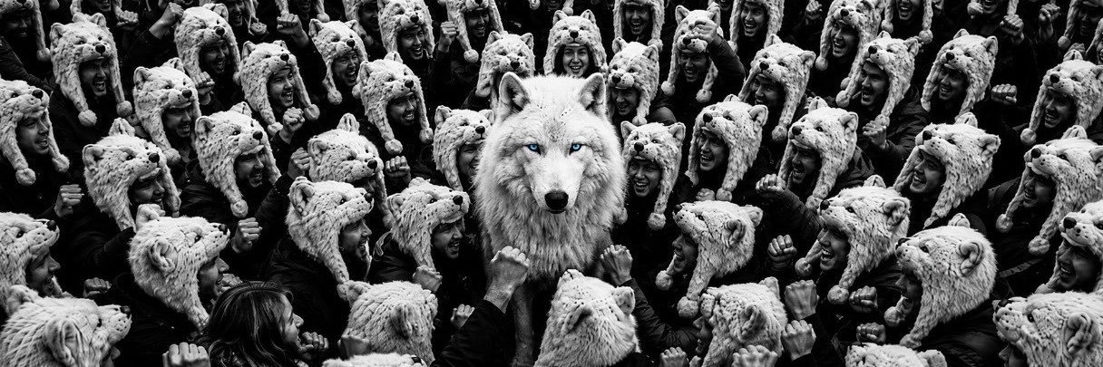 degenwolf.base.eth (awoo arc)'s banner