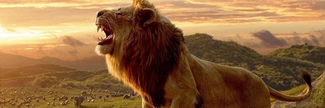 👑Zenitsu Agatsuma🦁's banner