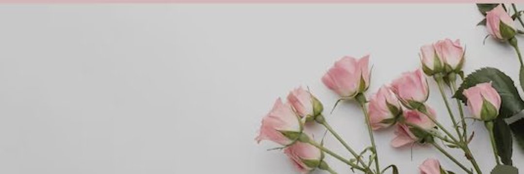 SapphIre NicoIe HoweII's banner