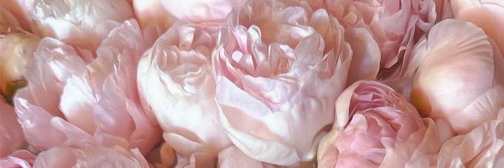 Ludivina 𓆩♡𓆪's banner