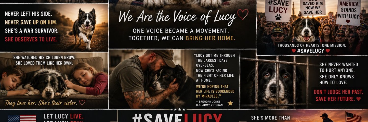 Save Lucy's banner