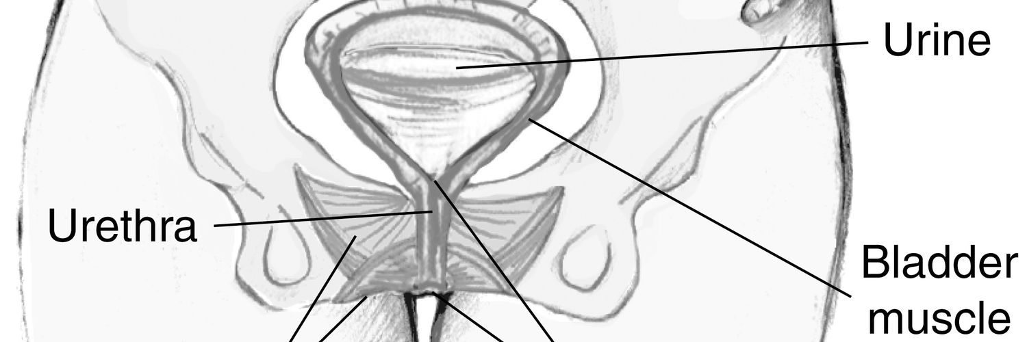 Piss Queens and Piss Memes's banner