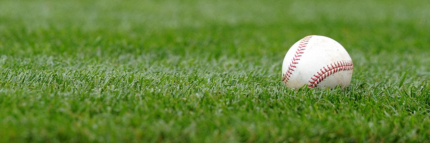 日刊スポーツ　プロ野球選手名鑑タップ公式's banner