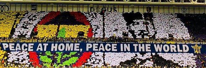 Dusan Tadic Vekili's banner