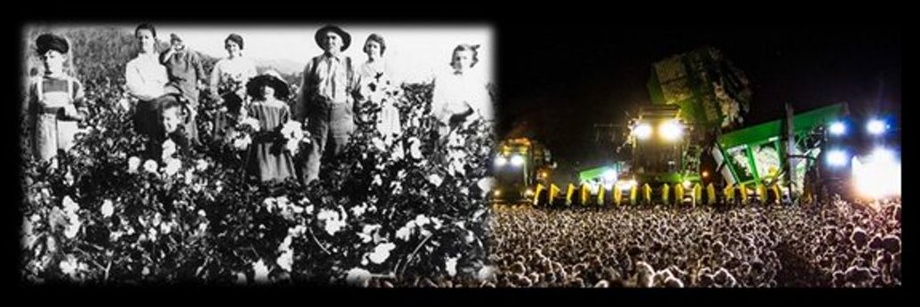 Disprin's banner