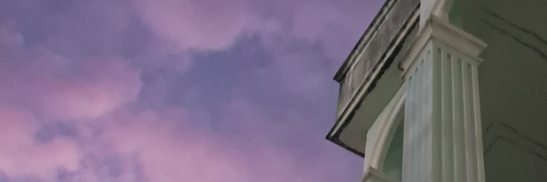 🐰's banner