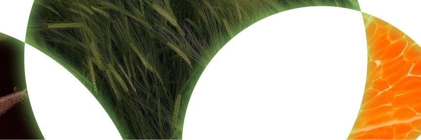 Osmo's banner