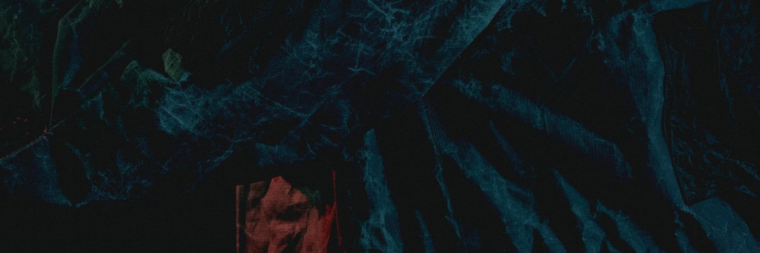 Dimitri Novikov 🇺🇦's banner