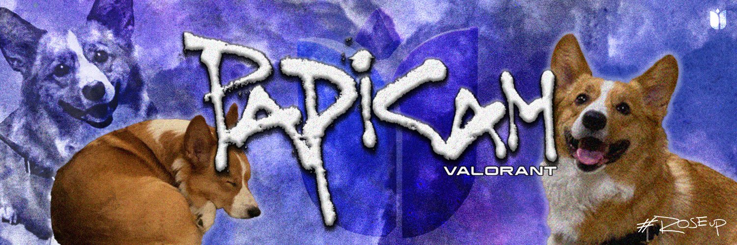 PapiCam's banner