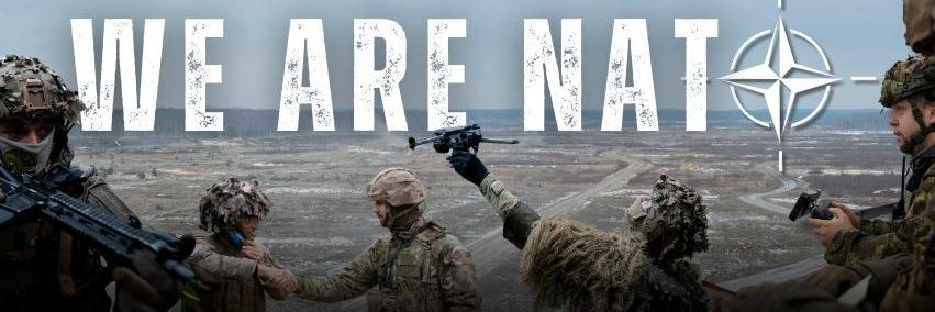 French Forces in Estonia's banner