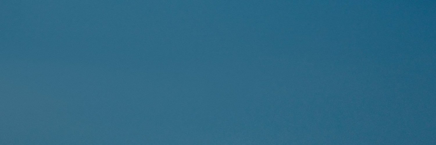 marking_lee_'s banner