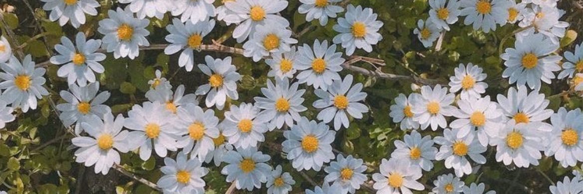 𝐬𝐮𝐧𝐨𝐨 𝐮𝐧𝐢𝐯𝐞𝐫𝐬𝐞🤍🪡 | fan account's banner