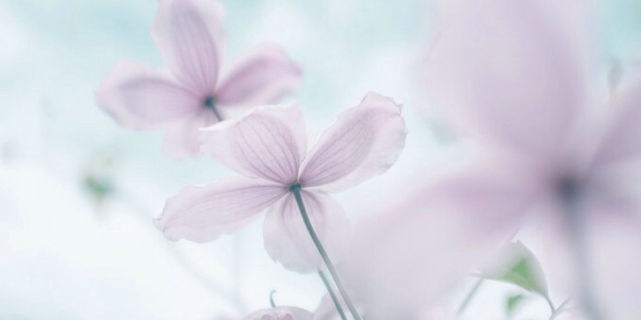 垫底辣妈's banner
