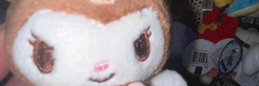 ちょこすけ's banner