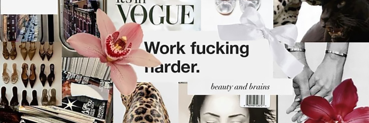 daily dua lipa's banner