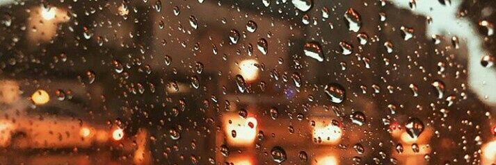 🍂's banner