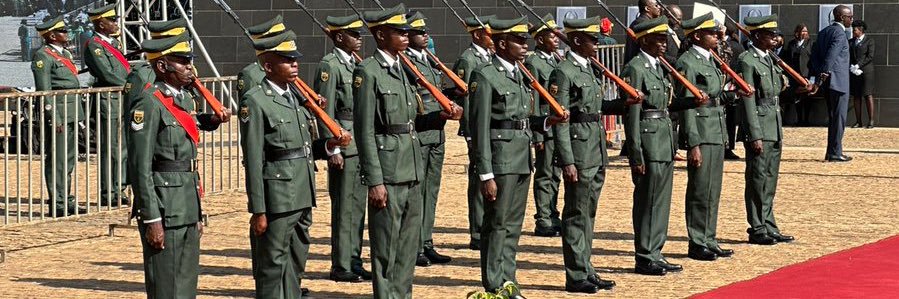 Shumba Zim's banner
