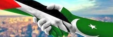 Alishba Malik's banner