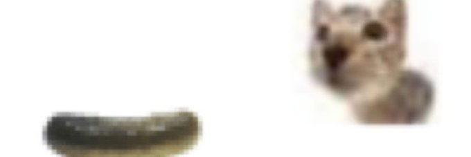 peter's banner
