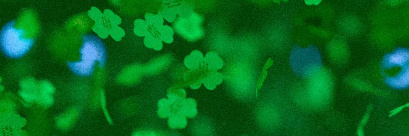 와플's banner