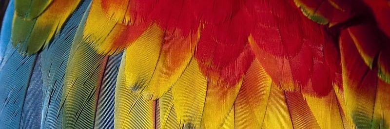 Humanbydesign's banner