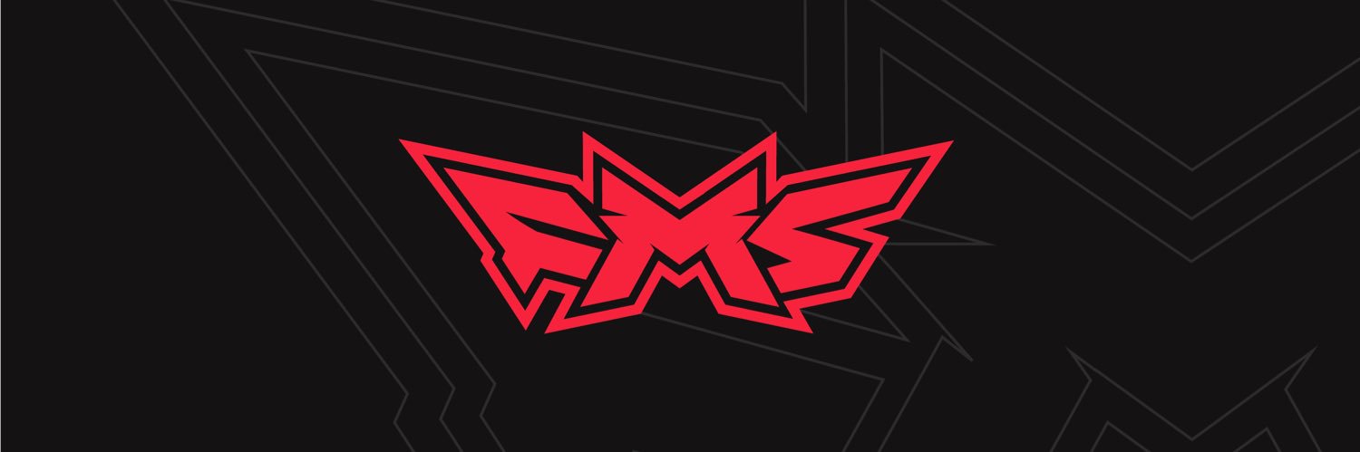 STORMMEDIA FMS's banner