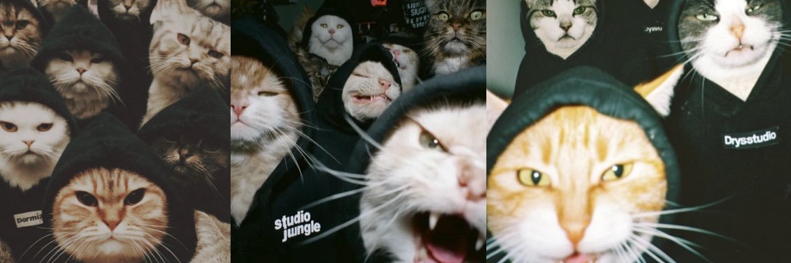 Fatto a gattodio's banner