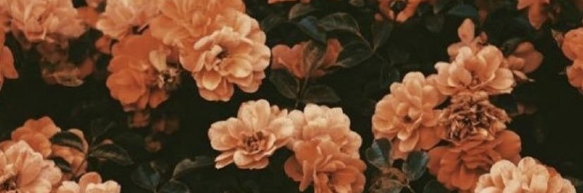 Ash🪞's banner