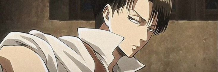 levi( inactive)'s banner