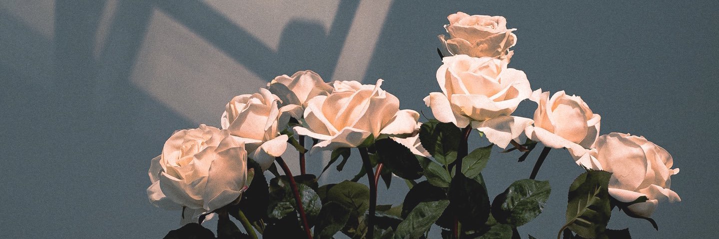 𝙅𝙏.'s banner