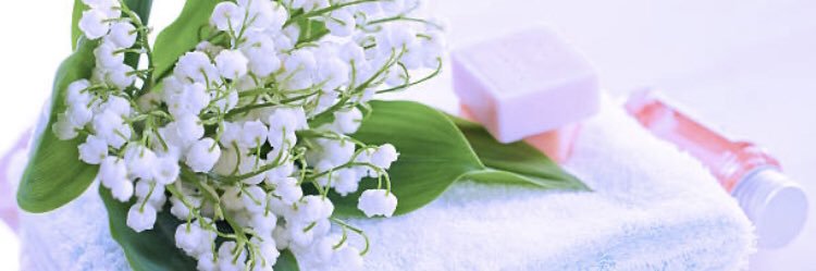 はるの花🛎️鈴蘭's banner