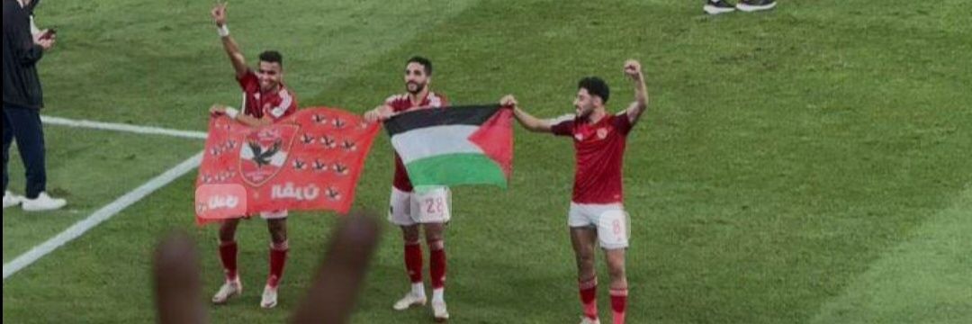 nour's banner