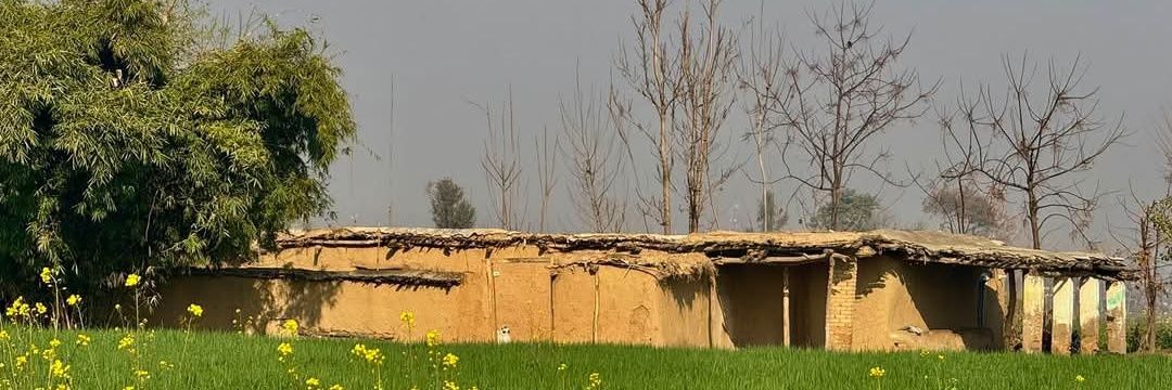 Abdullah Momand's banner