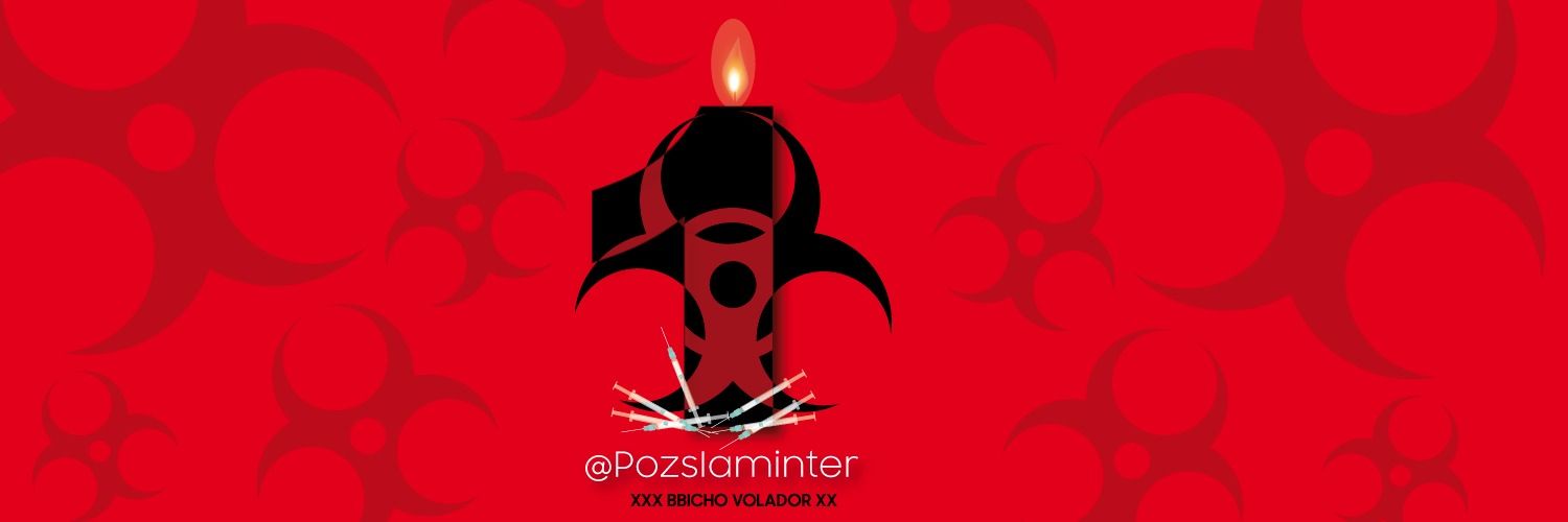 XXX BBicho Volador XXX. 🏳️‍🌈🐷⚡🚀💎💉☣️'s banner