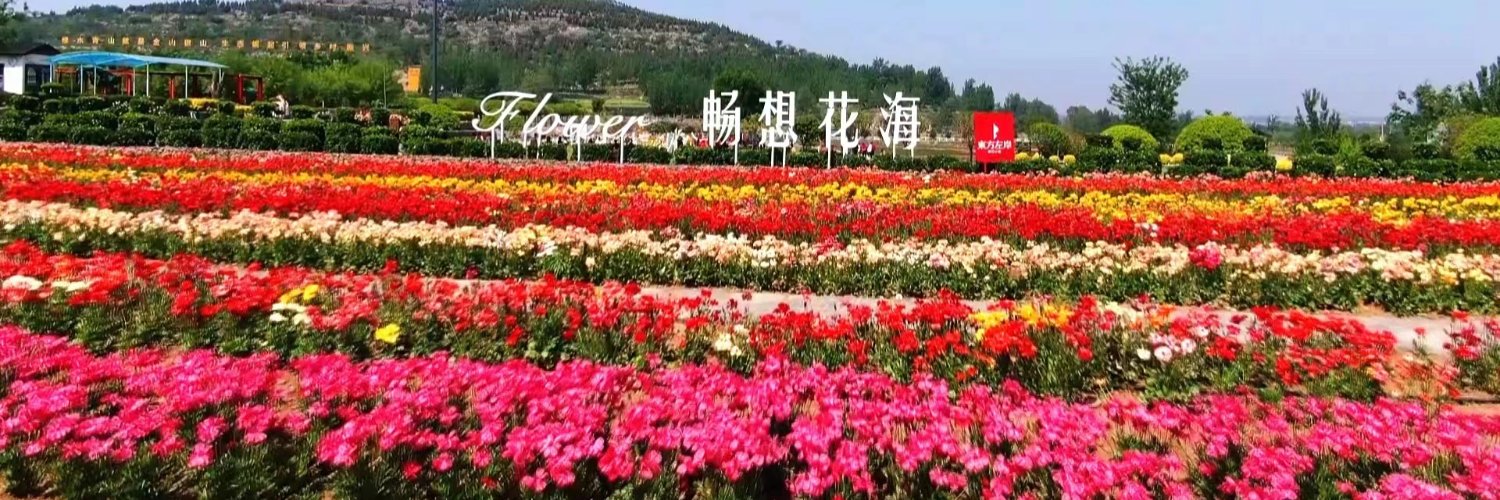 🐰小兔子乖乖's banner