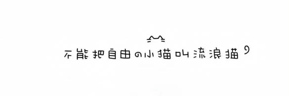 無糖奶豆's banner