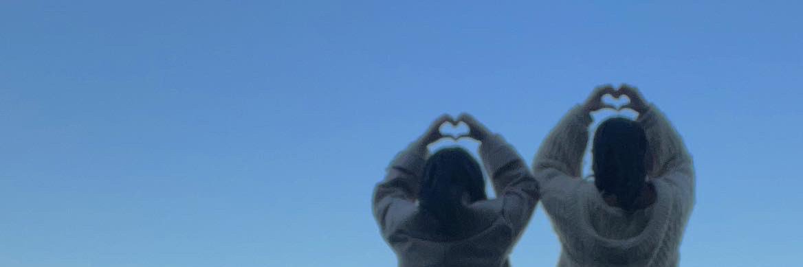 白河みさき🍯's banner