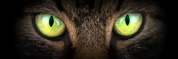 BaRLaS's banner