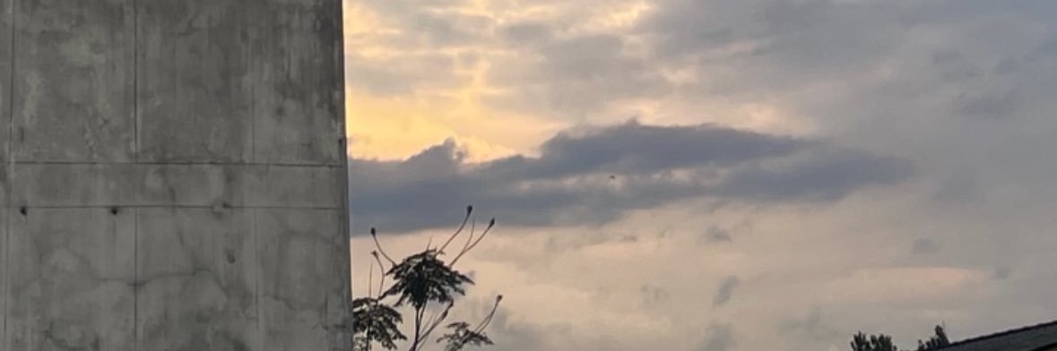 BIZZY_30's banner