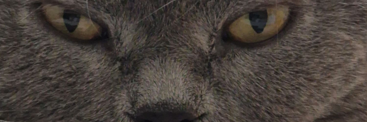 Tomasz's banner