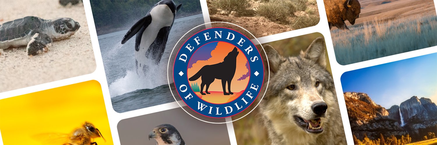 Defenders of Wildlife's banner